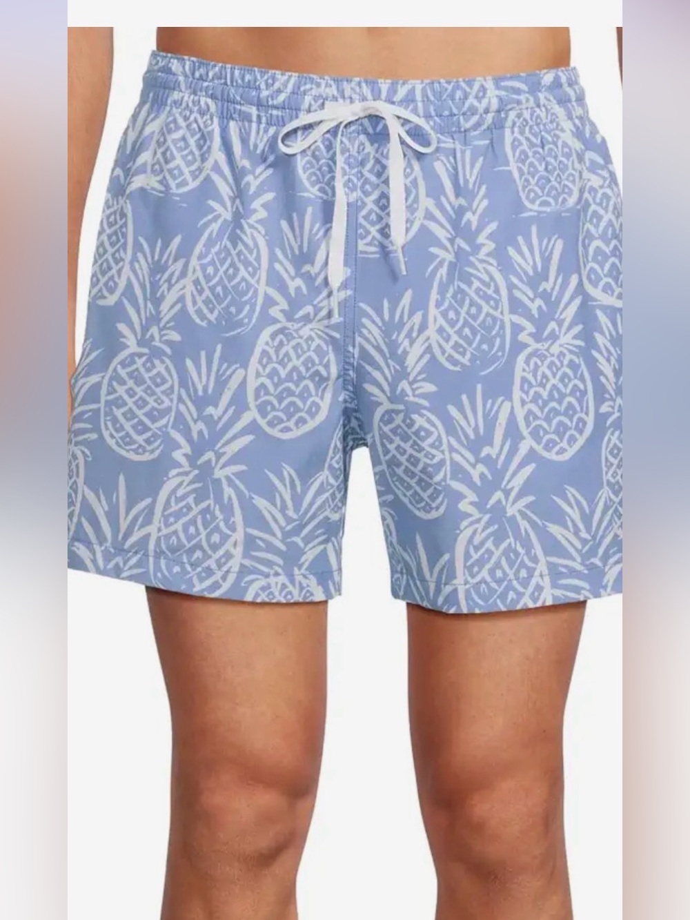 chubbies The Thigh-napples stretch 5.5 inch bathing suit. Looks new